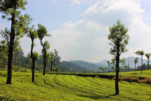 Kerala - Hill Station